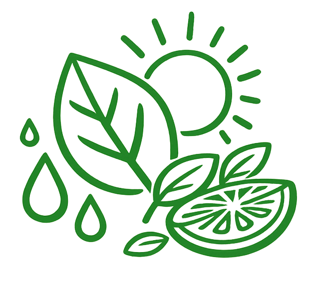 Ranní bylinný čaj 