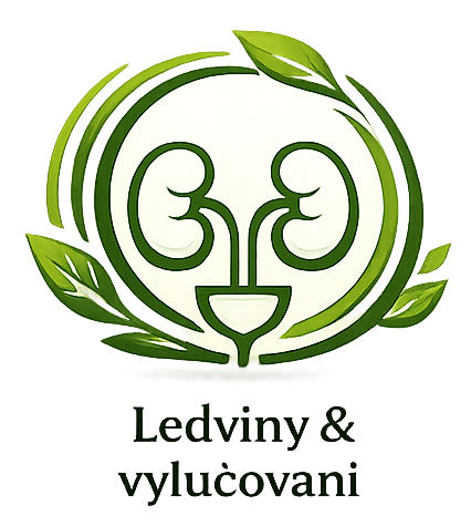 Ledviny & močový systém