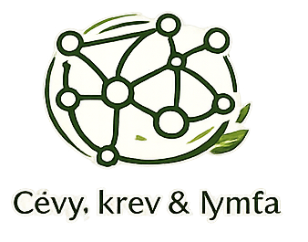 Mozek, paměť & cévy