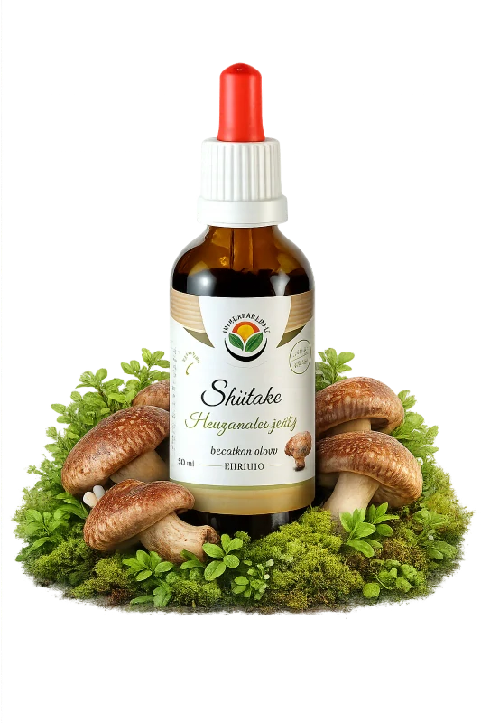 Tinktura - Shiitake (adaptogen,Houževnatec jedlý) 50ml