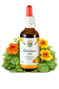 Tinktura - Lichořeřišnice větší, plod (přírodní antibiotikum) 50ml