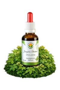 Tinktura - Jiaogulan (kardiovaskulární systém) 50ml