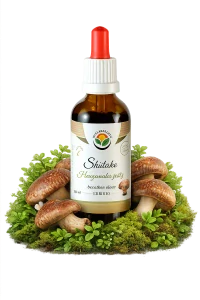 Tinktura - Shiitake (adaptogen,Houževnatec jedlý) 50ml