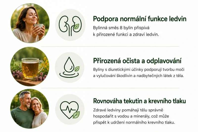 Bylinná směs klášterní apatyky "Ledvinový"  100 g