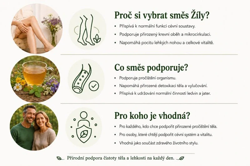Bylinná směs z klášterní apatyky "Žíly" 200g