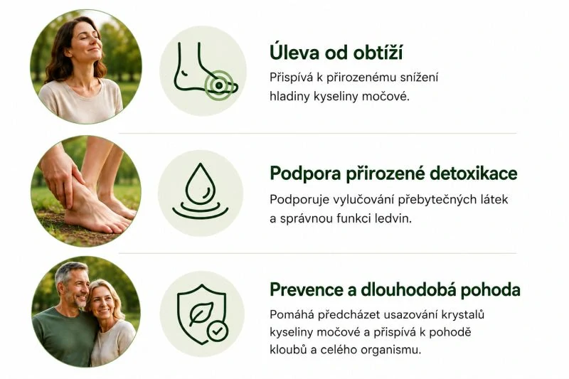 Bylinná čajová směs z klášterní apatyky "Kyselina močová" 